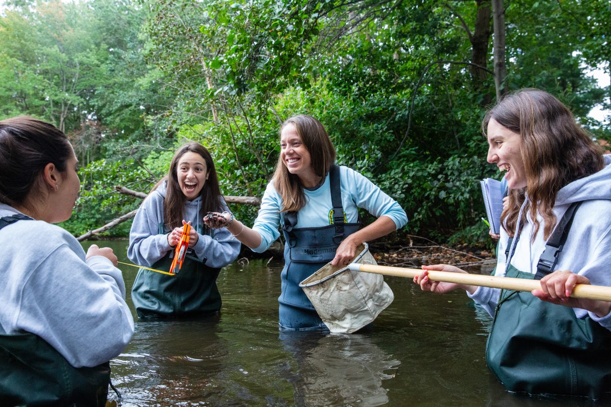 Assistant professor Betsy Stoner and three female students standing waist-deep in water as they explore the biodiversity of a small lake on Bentley's campus. 