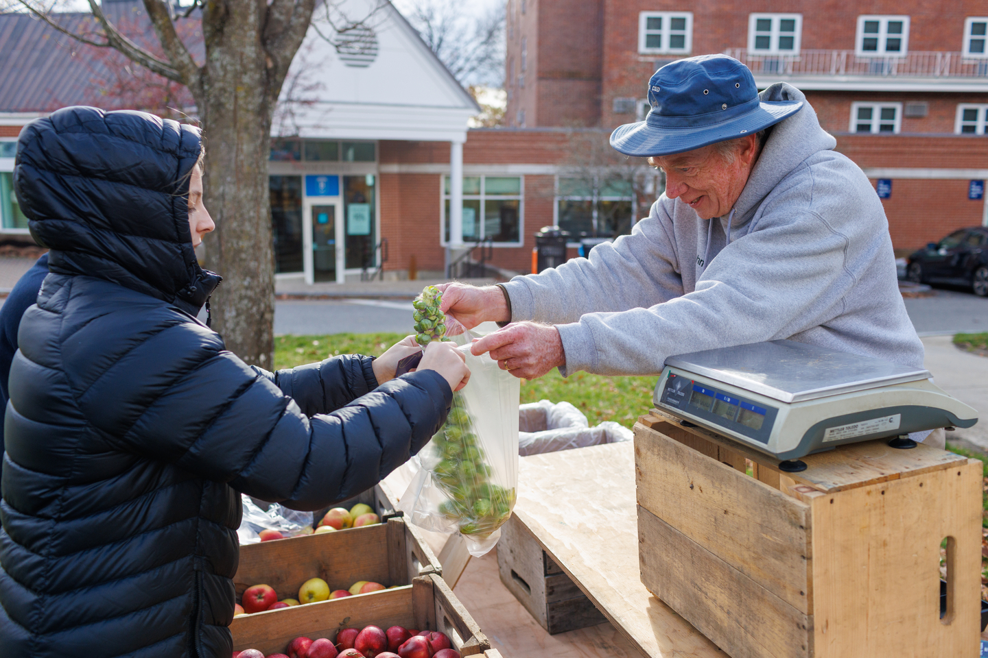 Bentley student buying produce at farmer's market