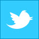 twitter bird icon