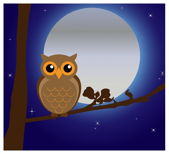 night-owl