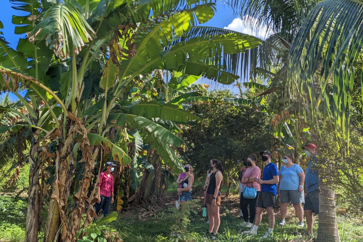 An employee of Walkers Reserve leads Bentley students on a tour of the site's vibrant food forest.