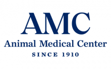 AMC logo