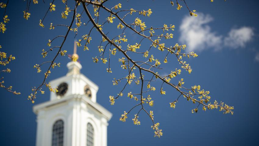 Library Tower Spring Hero