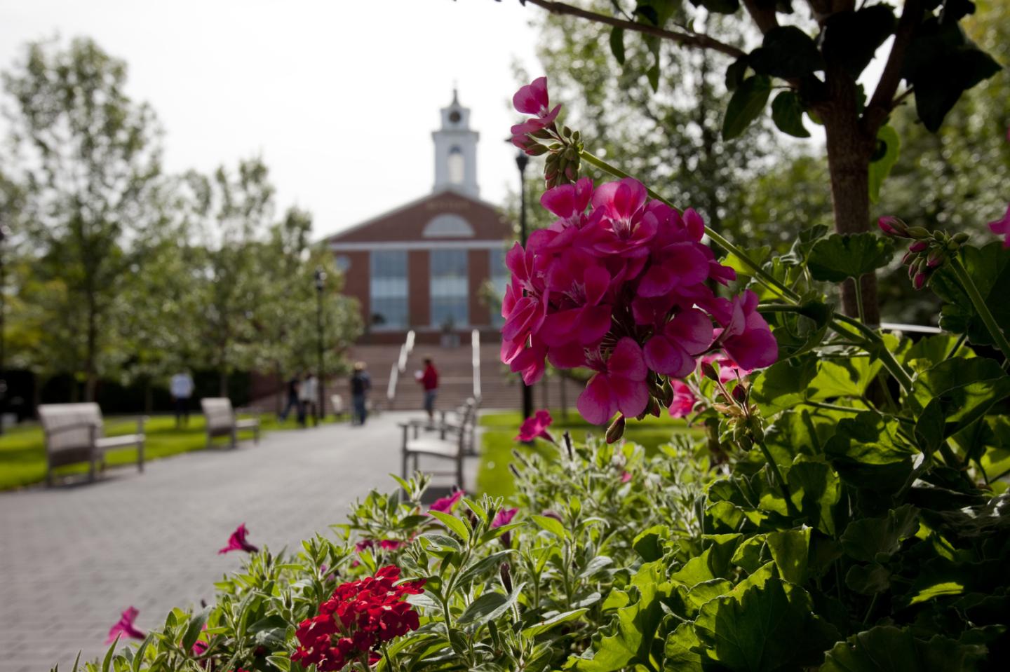 Flowers on campus