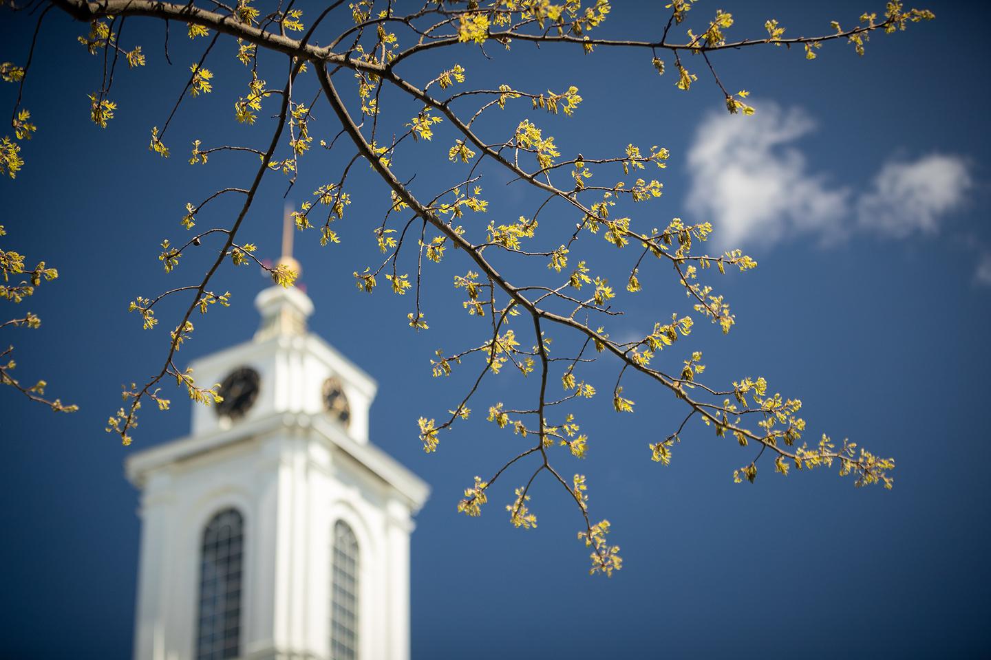 Library Tower Spring Hero