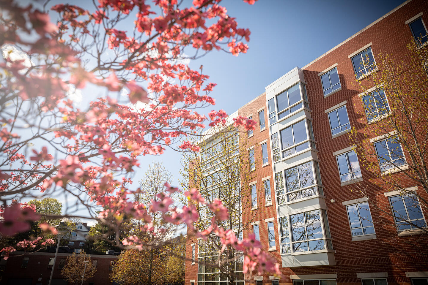 fenway hall pictured with spring foliage in the forefront