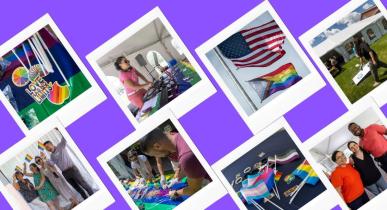 Collage of photos of Pride Block Party with purple background