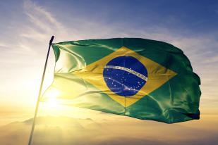 Brazil Flag